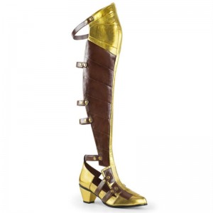 Pleaser Maiden-8830 Hoge Hakken Dames Bruin Goud | HZYPI-BE